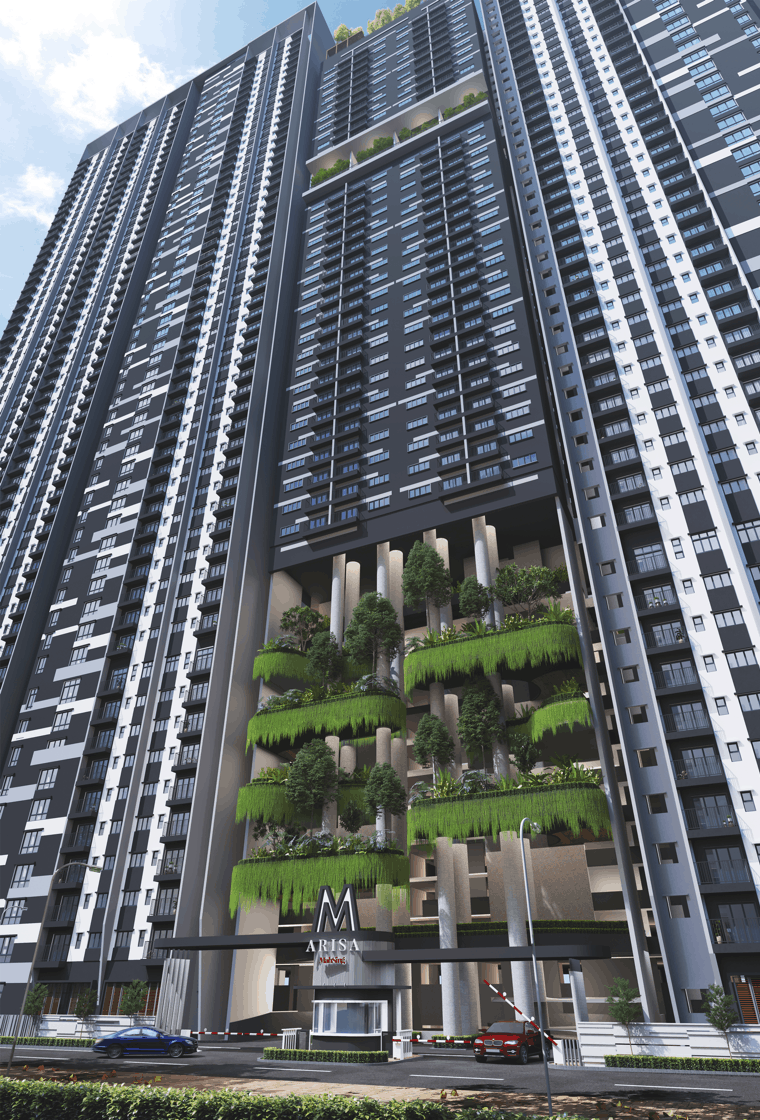 m arisa property