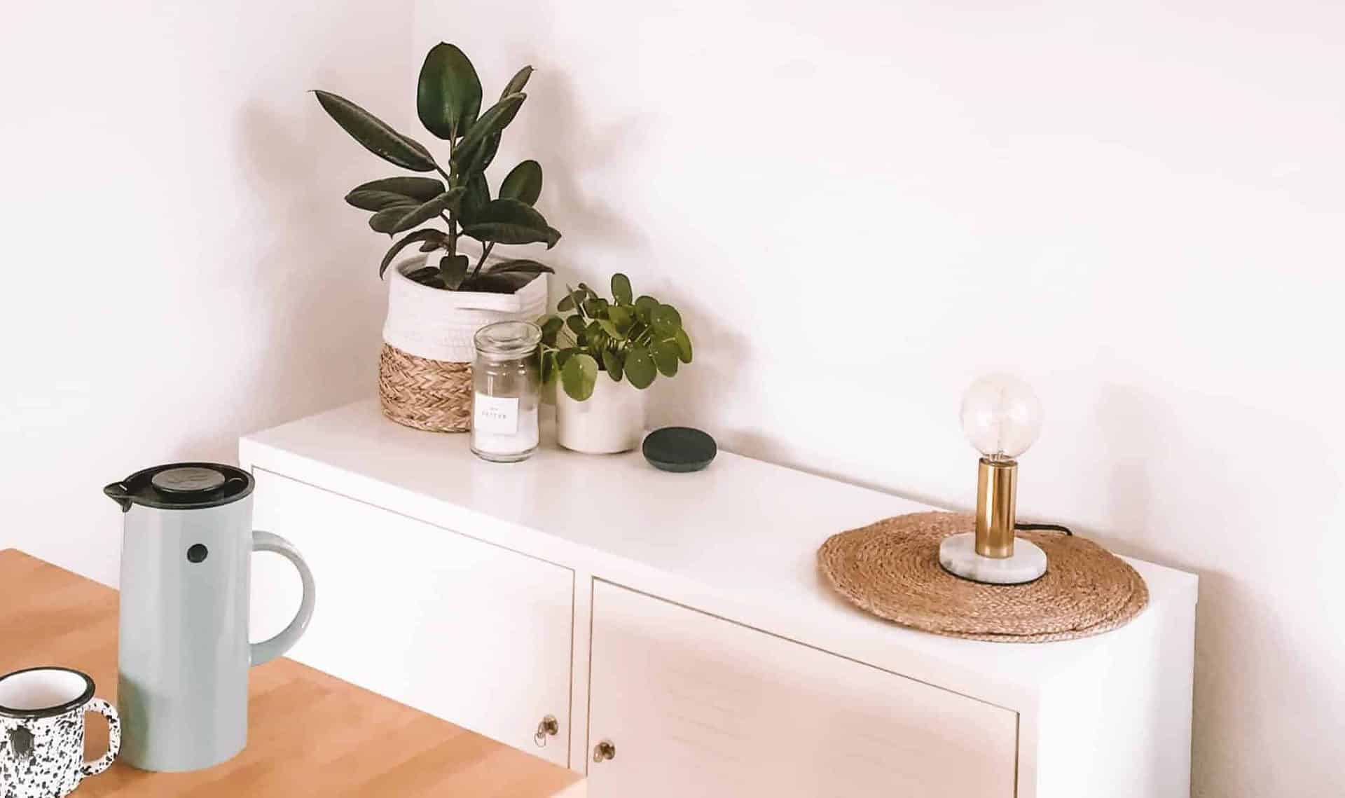 charlota-blunarova-NyNx4OwZThs-unsplash01