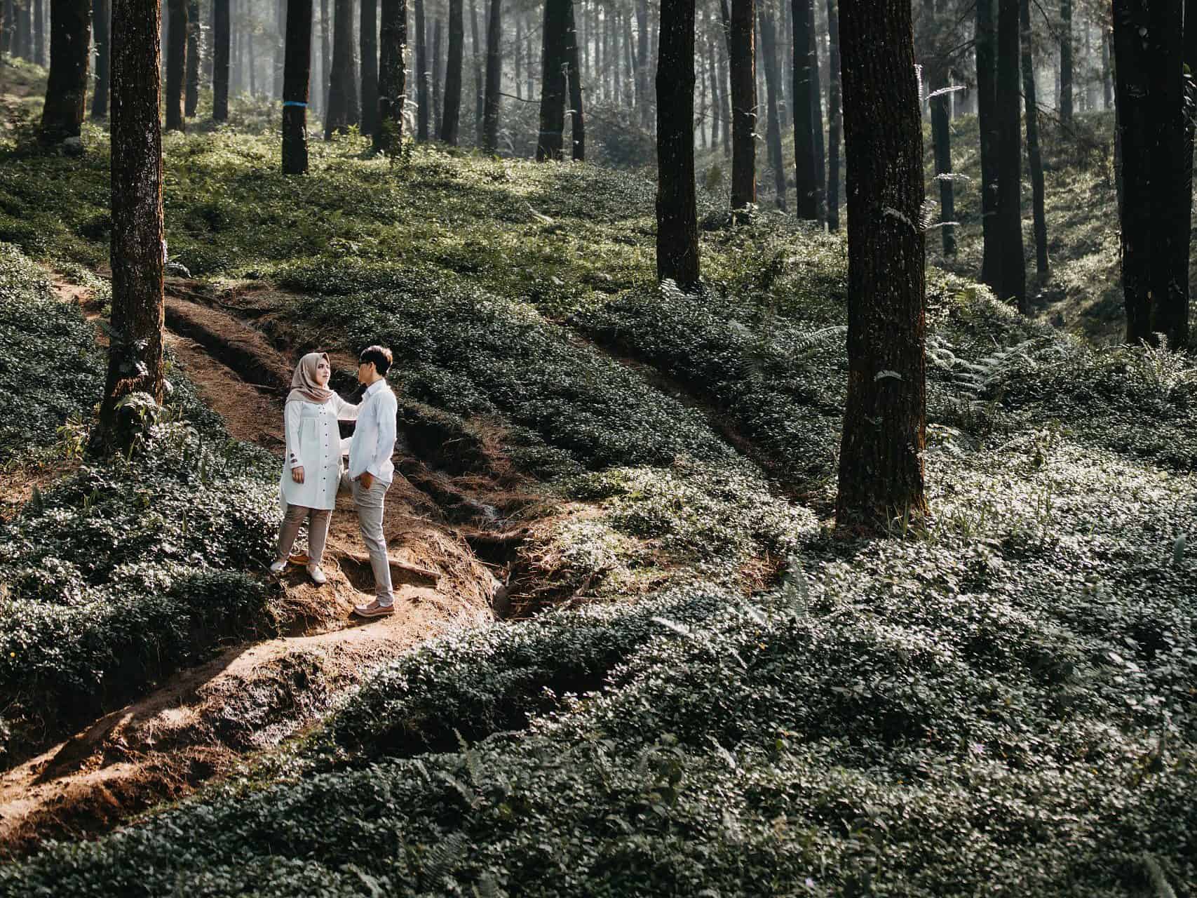 park near kepong condo