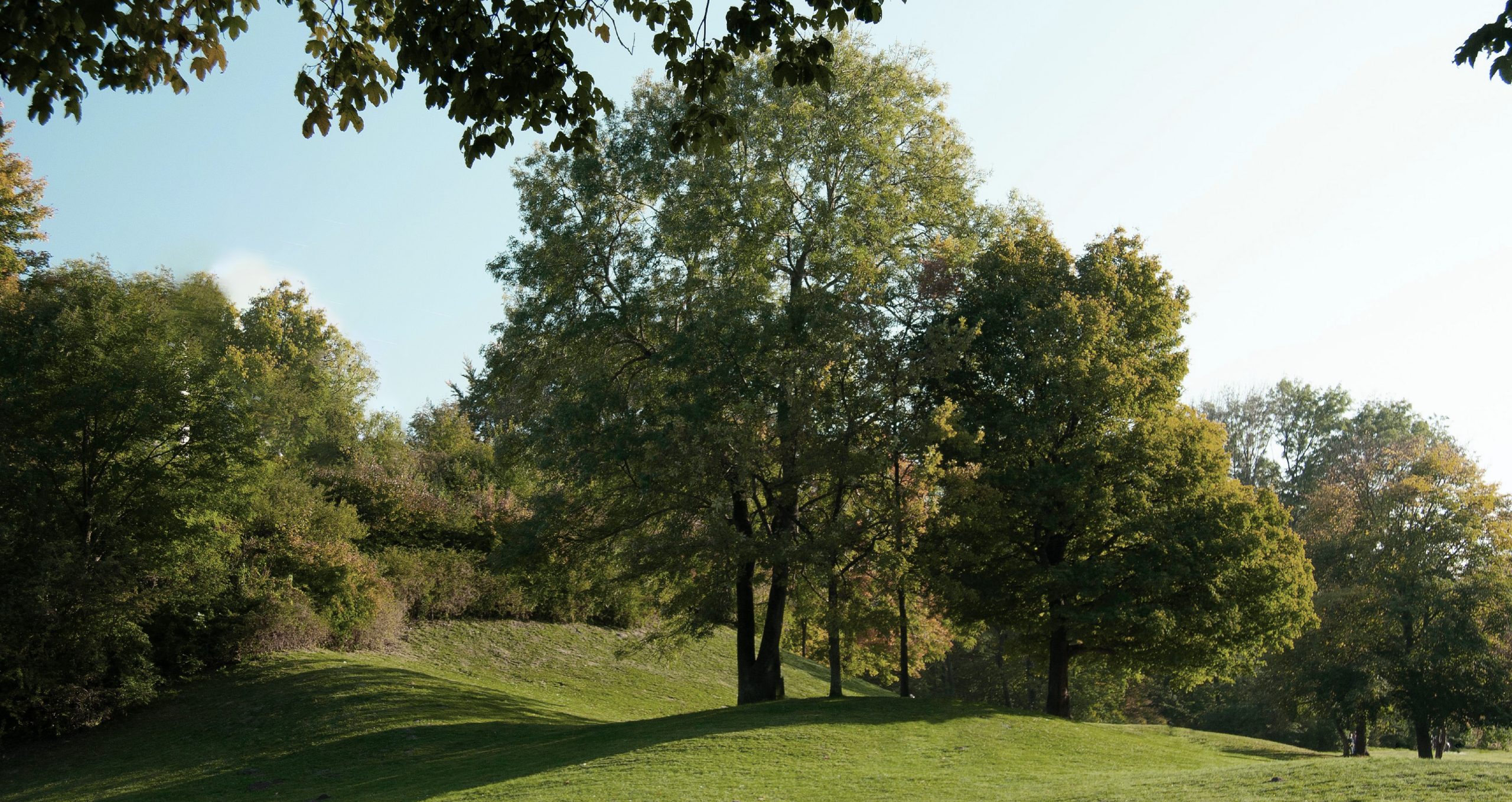 Mah Sing Website Banner - Opt 1.1-01